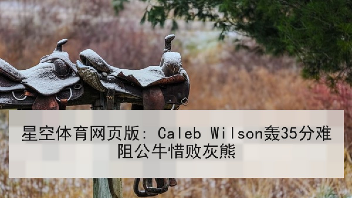 星空体育网页版: Caleb Wilson轰35分难阻公牛惜败灰熊