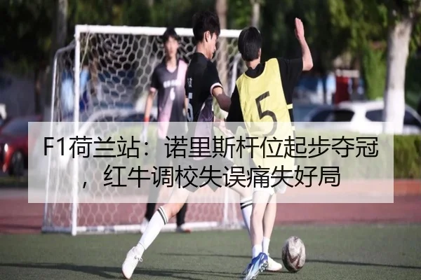 he-lan-zhan-nuo-li-si-gan-wei-qi-bu-duo-guan-hong-niu-diao-xiao-shi-wu-tong-shi-hao-ju-2-135.jpg