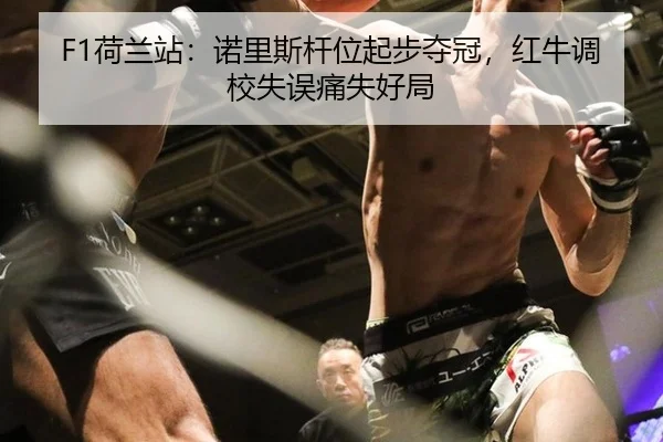 he-lan-zhan-nuo-li-si-gan-wei-qi-bu-duo-guan-hong-niu-diao-xiao-shi-wu-tong-shi-hao-ju-3-232.jpg