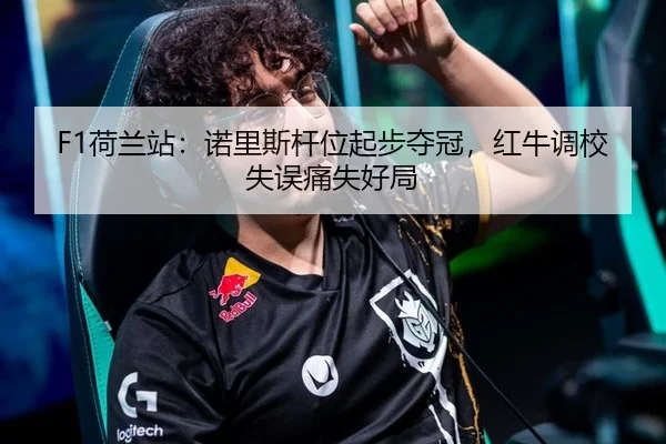 F1荷兰站：诺里斯杆位起步夺冠，红牛调校失误痛失好局
