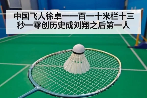 中国飞人徐卓一一百一十米栏十三秒一零创历史成刘翔之后第一人